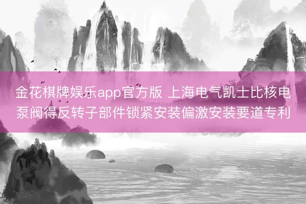 金花棋牌娱乐app官方版 上海电气凯士比核电泵阀得反转子部件锁紧安装偏激安装要道专利