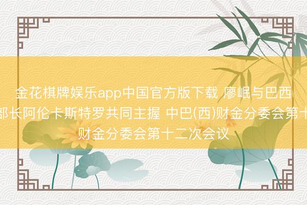 金花棋牌娱乐app中国官方版下载 廖岷与巴西财政部副部长阿伦卡斯特罗共同主握 中巴(西)财金分委会第十二次会议