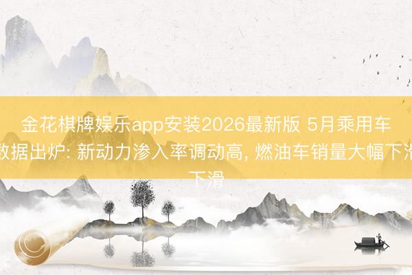 金花棋牌娱乐app安装2026最新版 5月乘用车数据出炉: 新动力渗入率调动高， 燃油车销量大幅下滑