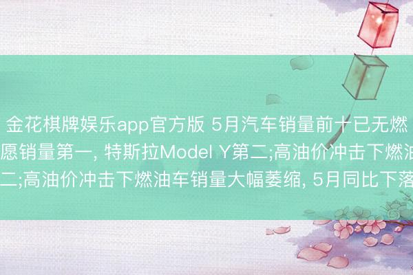 金花棋牌娱乐app官方版 5月汽车销量前十已无燃油车: 袖珍电动车星愿销量第一， 特斯拉Model Y第二;高油价冲击下燃油车销量大幅萎缩， 5月同比下落39%